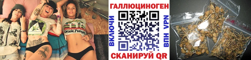 как найти закладки  MEGA рабочий сайт  Псилоцибиновые грибы прущие грибы  Кировград 